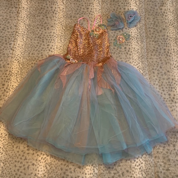 Big beautiful & full tulle tutu dance costume.